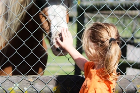 A young girl gently pets a horse through a wooden fence, showcasing a moment of connection between them.