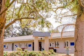The entrance of the school building is surrounded by trees and vibrant bushes, inviting students and visitors alike.