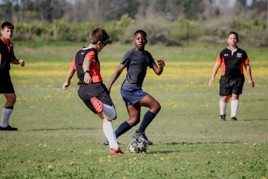 harmitage_house-soccer-3