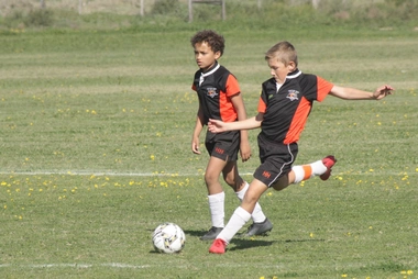 harmitage_house-soccer-8